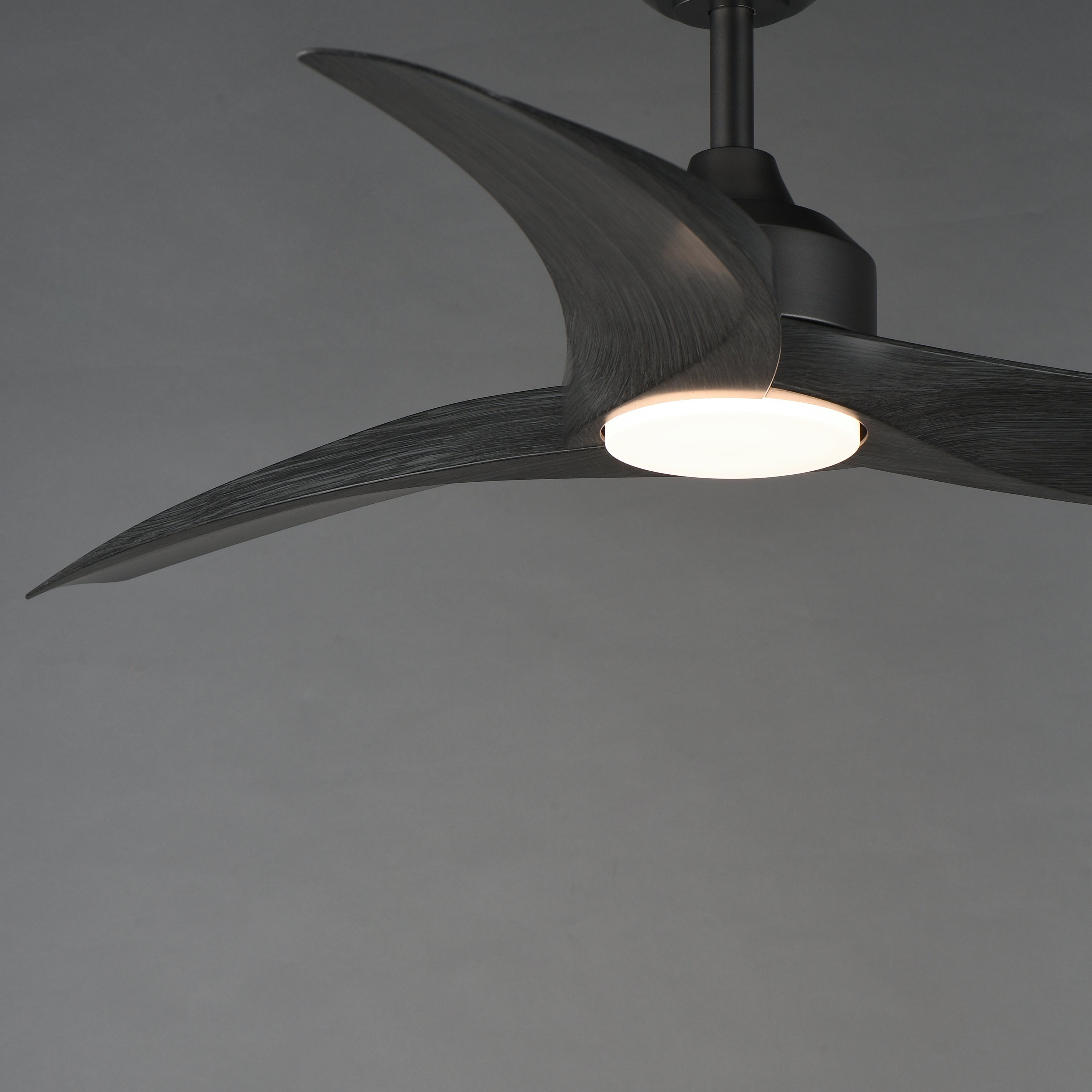 Drifter Outdoor Fan Charcoal