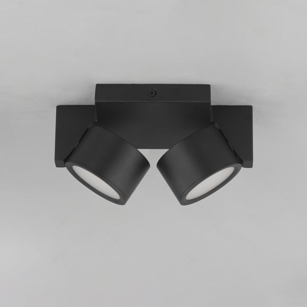 Embrace Two Light Led Flush