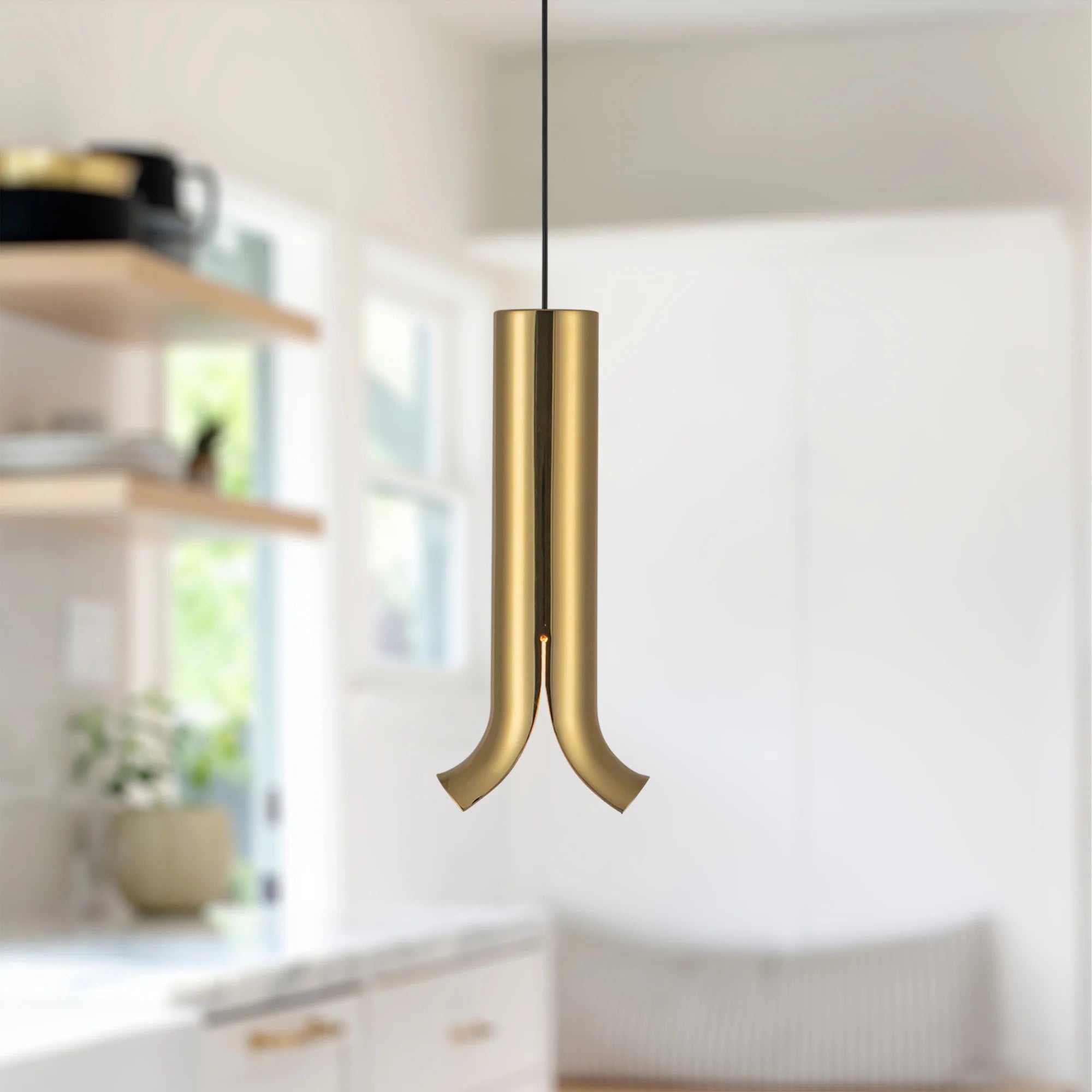 Husk Brass Pendant