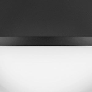 Haddie Flush Mount Black