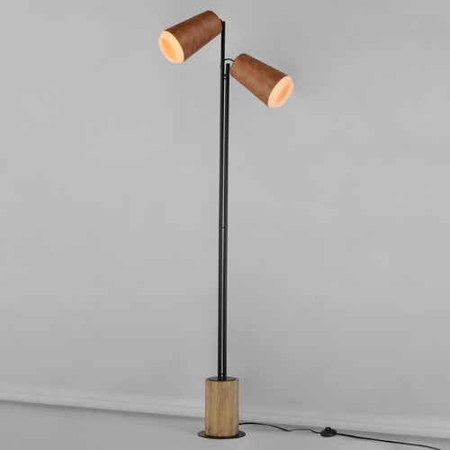 Scout 2 Light Led Floor Lamp