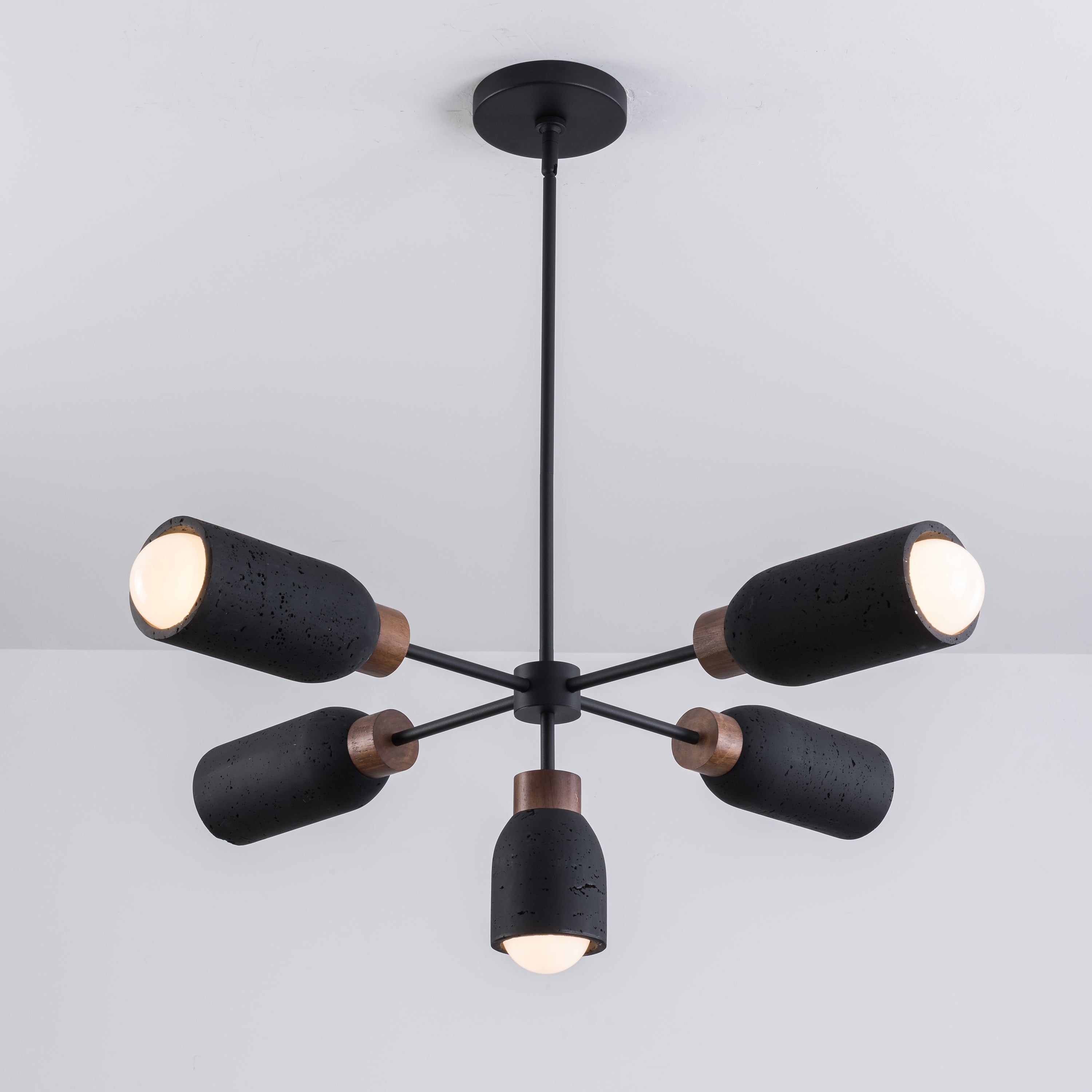 Pompeii 5 Light Pendant Black