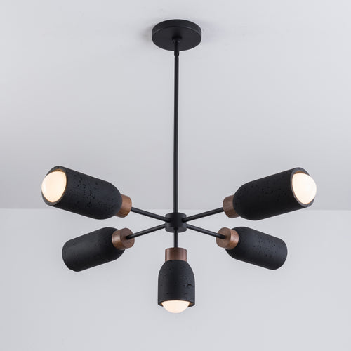 Pompeii 5 Light Pendant Black