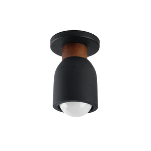 Pompeii Flush Mount Black