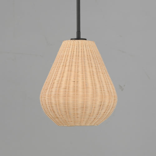 Maldives 1 Light Pendant