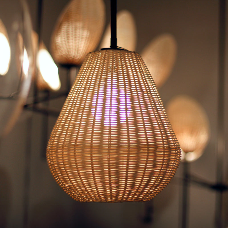 Maldives 1 Light Pendant