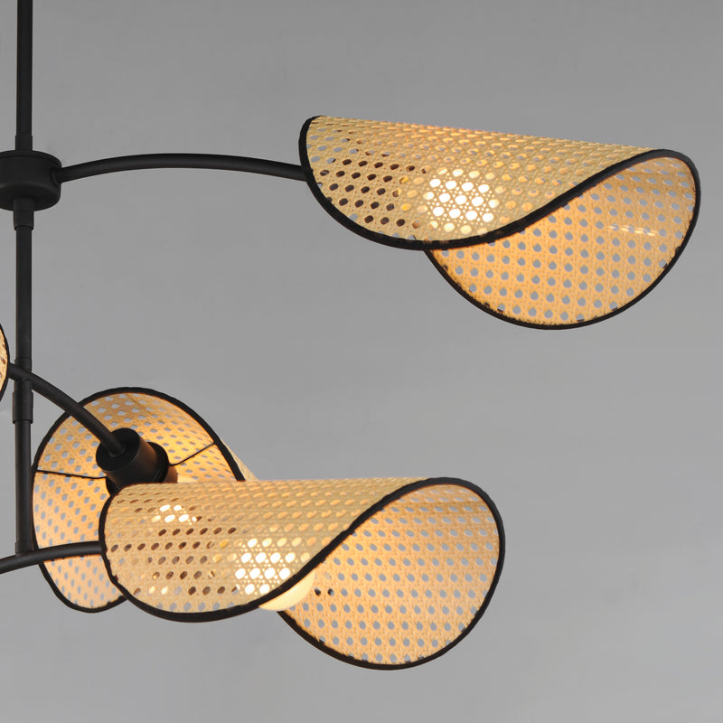 Bonnet 6 Light Chandelier