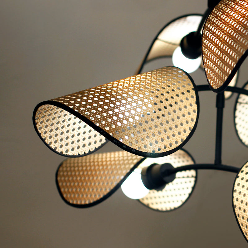 Bonnet 6 Light Chandelier
