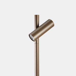 Juncus Bollard