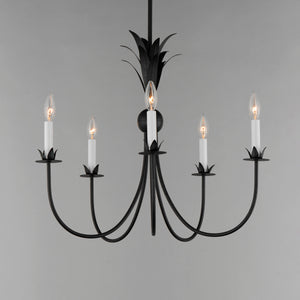 Paloma 5 Light Chandelier Steel