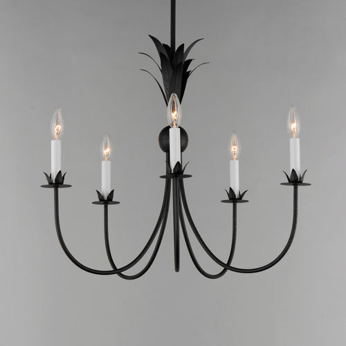 Paloma 5 Light Chandelier Steel