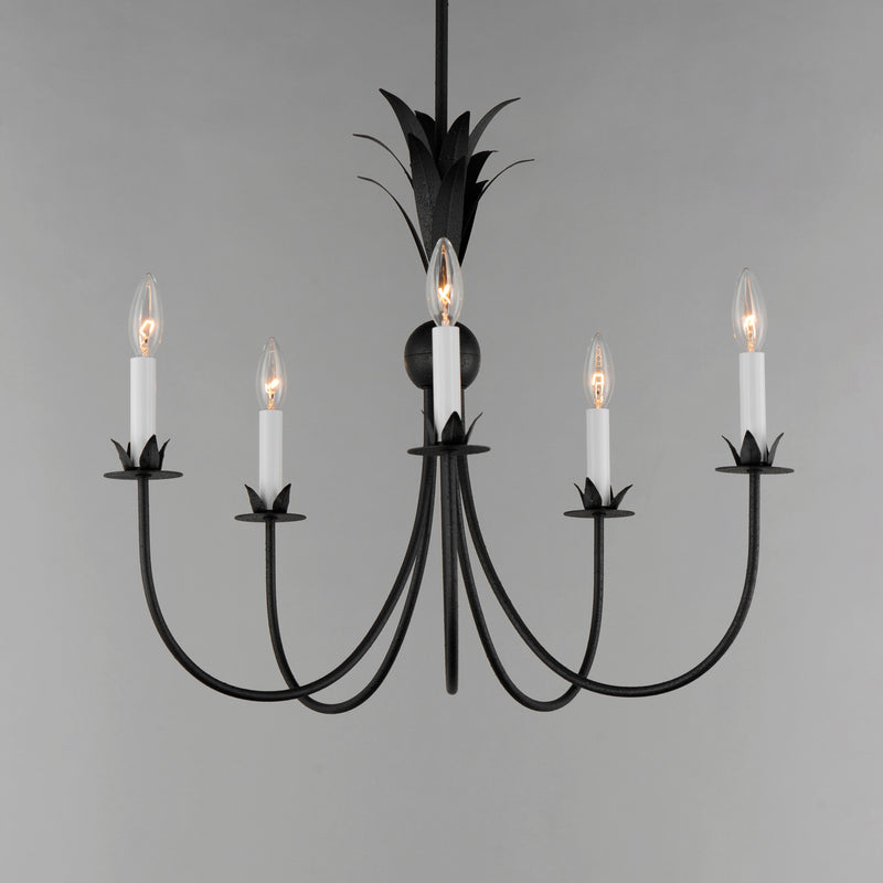 Paloma 5 Light Chandelier Steel