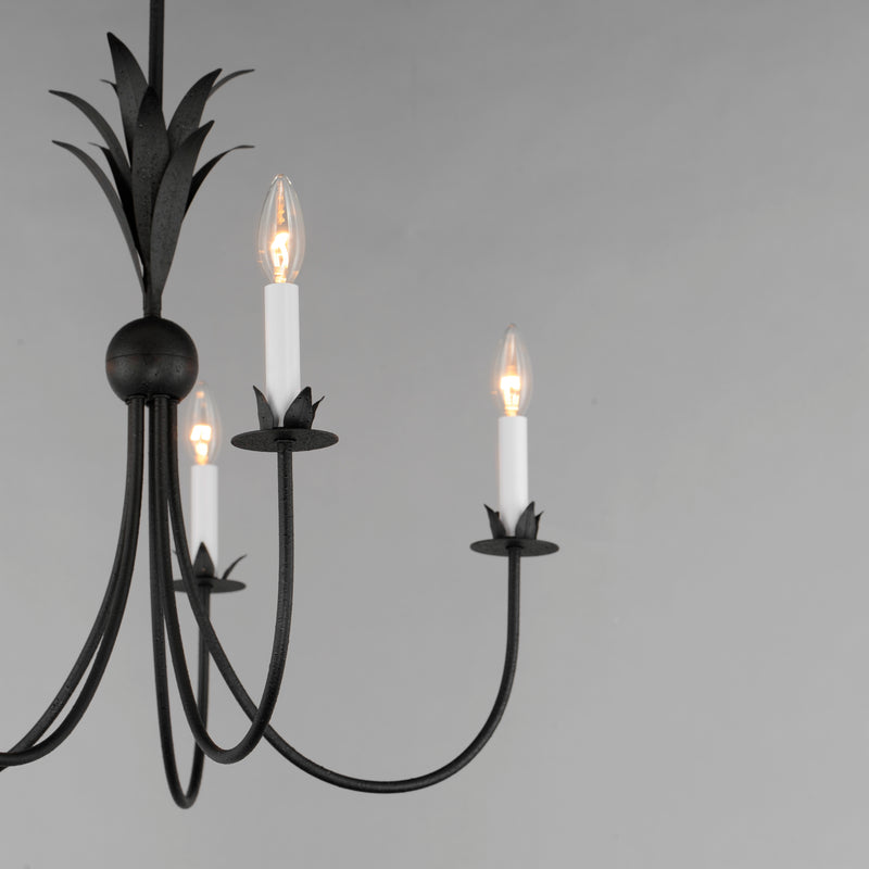 Paloma 5 Light Chandelier Steel