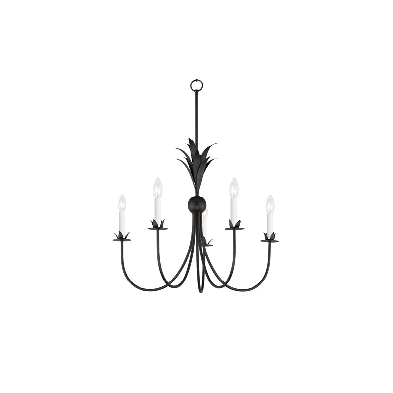 Paloma 5 Light Chandelier Steel