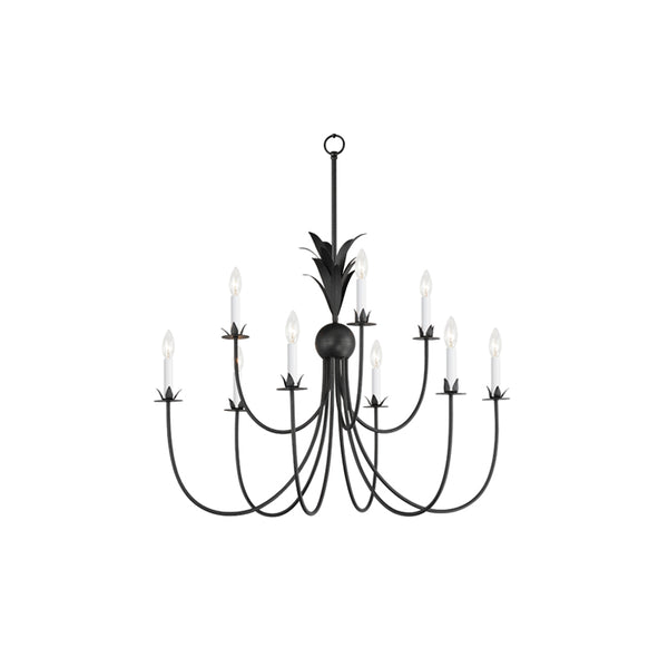 Paloma 9 Light Chandelier Steel