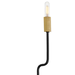 Austen Double Adjustable Sconce Black