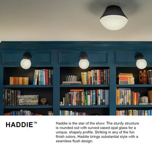 Haddie Flush Mount Black