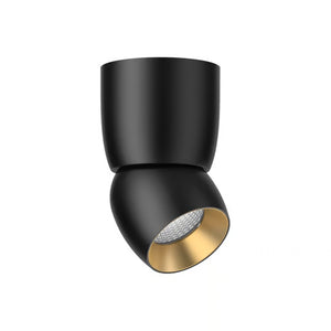 Hauryx I Dorado/Negro
