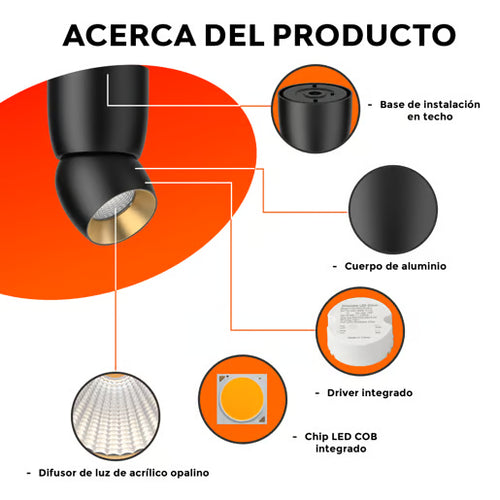 Hauryx I Dorado/Negro