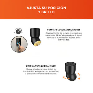 Hauryx I Dorado/Negro