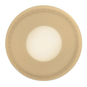 Casey Metal Flush Mount Brass