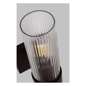 Geneva 1-Light Vanity Sconce Iron