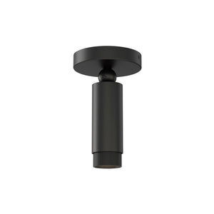 Cleo Flush Mount Black