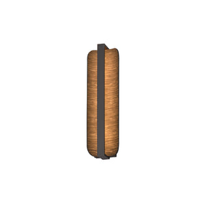 Terra Outdoor Wall Sconce II