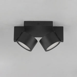 Embrace Two Light Led Flush