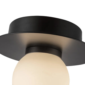 Elixir Black Flush Mount S