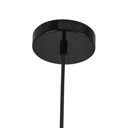 Hayden Black Pendant
