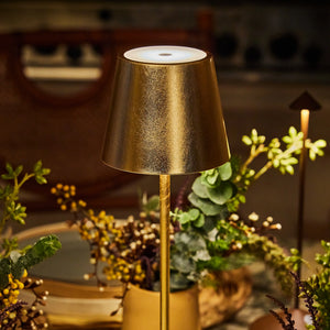Poldina Pro Mini Gold Leaf