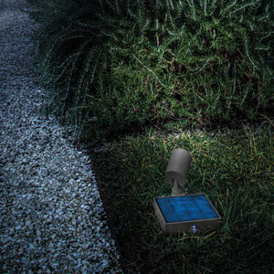 Solar Spotlight