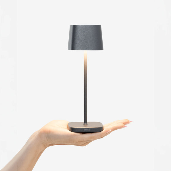 Ofelia Micro Dark Grey