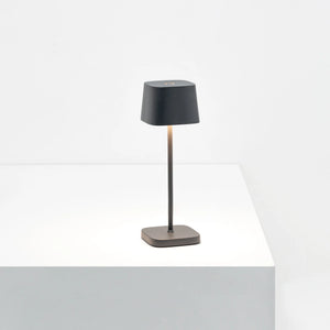 Ofelia Micro Dark Grey