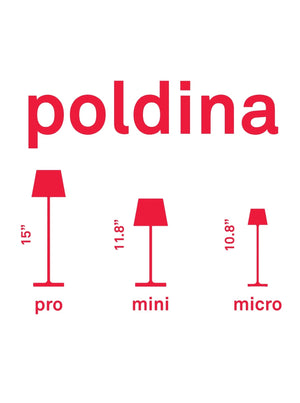 Poldina Pro Mini Glossy Chrome