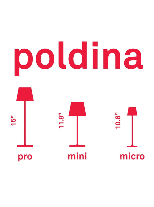Poldina Pro Mini Glossy Chrome