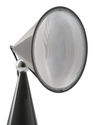 Pose Portable Light Kelp