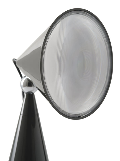Pose Portable Light Kelp