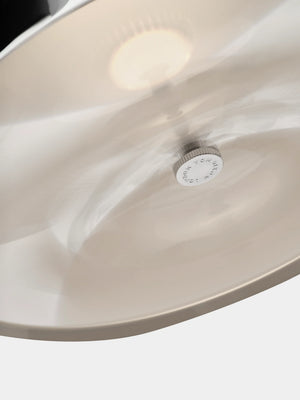 Pose Small Pendant Light Kelp
