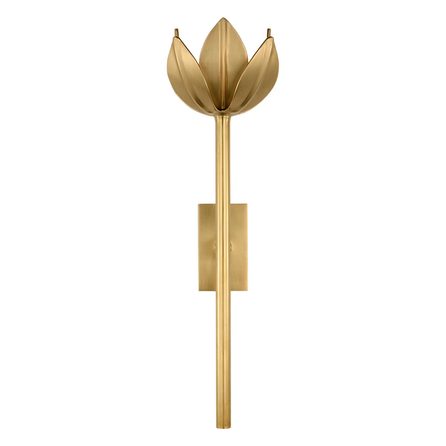 Alberto Sconce Gold