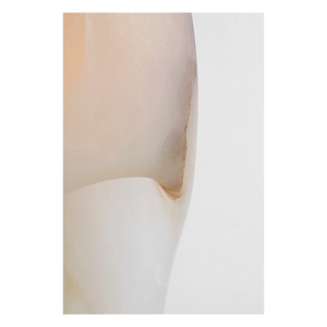 Esculpa Elongated Wall Light Alabaster/Nickel