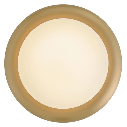 Noa Extra Small Convertible Flush Mount Brass
